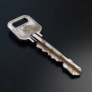 This is a type of Mechanical Key