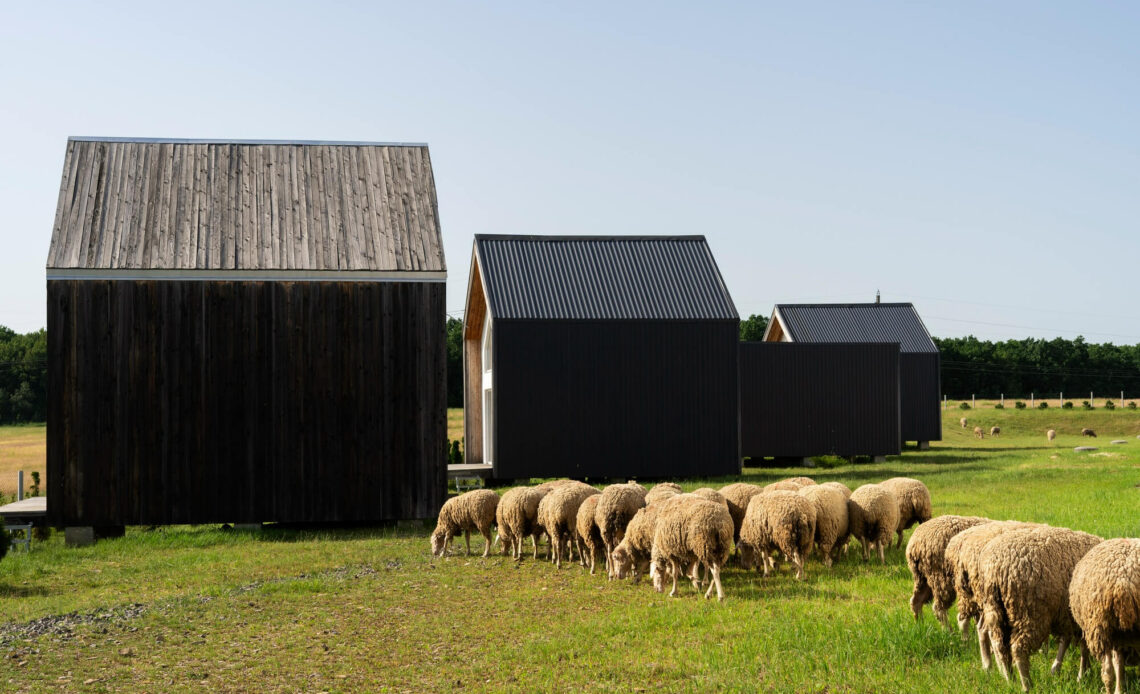 Choosing Right Materials and Designs for Durable Farm Sheds: A Complete Guide